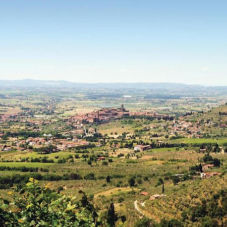 Il Marinocchio Di Malatesti Arezzo Exterior photo